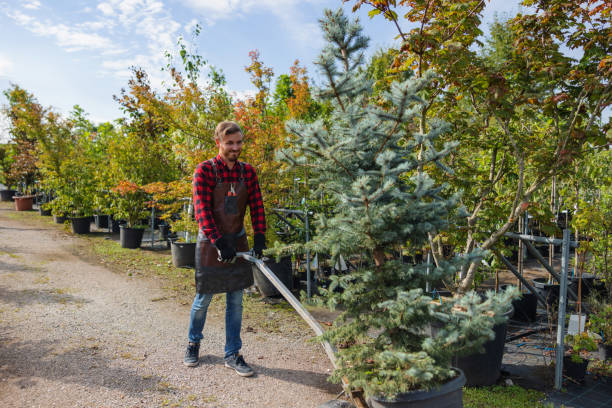 Best Tree Planting Service  in USA